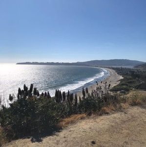 Meet your Posher, Hayden